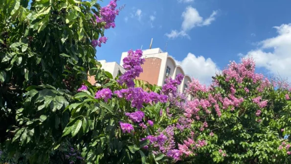 Primavera em Divinópolis