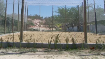 Moradores se unem para construir quadra no bairro Nova Fortaleza 2