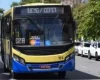 Veja cidades com gratuidade no ônibus para maiores de 60; projeto não foi aprovado em Divinópolis