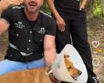 Idoso é preso por zoofilia após vizinhos ouvirem cão latir de dor em Divinópolis