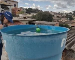 Divin&oacute;polis tem alto risco de epidemia de dengue