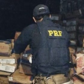 PRF recupera 3,6 toneladas de carne furtada em Carmópolis de Minas