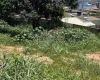 Divinópolis: Moradora encontra escorpião dentro de casa e cobra limpeza