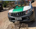 Pássaros da fauna silvestre são resgatados pela Polícia de Meio Ambiente