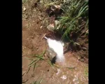 Moradores denunciam vazamento de &aacute;gua no bairro Candides em Divin&oacute;polis
