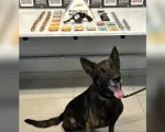 Homem preso por tr&aacute;fico de drogas