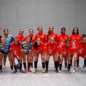 O Instituto Padrinho Russo realiza neste domingo (17/12) a 1ª Copa Instituto de Futsal Feminino no Poliesportivo José Constantino Sobrinho no bairro Niterói.  A competição ocorre de 08h até 13h. 