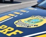 Nova Serrana: Carreta atropela cavalo solto na BR-262