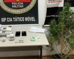 Nova Serrana: Dupla é detida com 18 comprimidos de LSD, barras de crack e maconha
