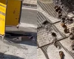 V&iacute;deo: Rede de esgoto transborda e fezes ficam espalhadas na porta de resid&ecirc;ncia na rua Minas Gerais em Divin&oacute;polis