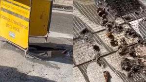 V&iacute;deo: Rede de esgoto transborda e fezes ficam espalhadas na porta de resid&ecirc;ncia na rua Minas Gerais em Divin&oacute;polis