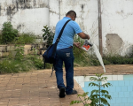 Divinópolis 2024: Aumento alarmante da dengue na Cidade; mais de 360%