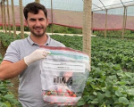 Agricultores familiares de Minas têm gratuidade na certificação de produtos