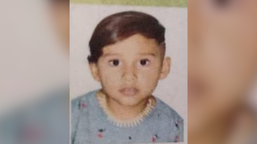 Uma criança de Itaúna, Kadu Emmanuel de Oliveira Menezes, de 5 anos, é uma das vítimas que morreram no acidente na BR-116, em Campanário, na noite desta sexta-feira (12).