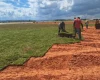 Aeroporto de Divinópolis recebe plantio de grama