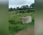 Uma moradora de Divin&oacute;polis denunciou o estado do Cemit&eacute;rio Parque da Colina, pr&oacute;ximo ao aeroporto da cidade.