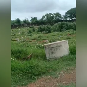 Uma moradora de Divinópolis denunciou o estado do Cemitério Parque da Colina, próximo ao aeroporto da cidade.