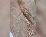 Moradores da Comunidade do Paiol, em Divin&oacute;polis, entraram em contato com o Portal MPA para denunciarem o estado das estradas no local.