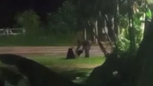 A Pol&iacute;cia Civil de Minas Gerais (PCMG) instaurou inqu&eacute;rito para investigar a depreda&ccedil;&atilde;o dos monumentos da Ma&ccedil;onaria e do Rotary, em Carmo do Cajuru. O crime ocorreu na madrugada da segunda-feira (1/01), no bairro Jardim Alvorada, pr&oacute;ximo &agrave; entrada da cidade.