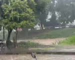 Veja vídeo: chuva forte faz estragos em Formiga