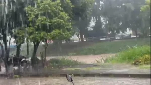 Veja v&iacute;deo: chuva forte faz estragos em Formiga