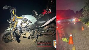Moto atinge vaca na estrada entre Divin&oacute;polis e Carmo do Cajuru