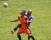 América MH e Coelho Radiadores dominam a liderança do Torneio do Choro
