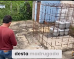 Ermida: 33 botijões cheios são levados durante a madrugada
