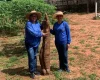 Produtor rural mostra mandioca gigante a agentes de saúde