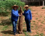 Produtor rural mostra mandioca gigante a agentes de saúde