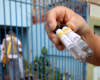 Ministério da Saúde, estados e municípios unem esforços para ações de enfrentamento da dengue