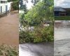 VÍDEOS: Temporal causa queda de árvores e alagamentos em Divinópolis