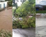 VÍDEOS: Temporal causa queda de árvores e alagamentos em Divinópolis