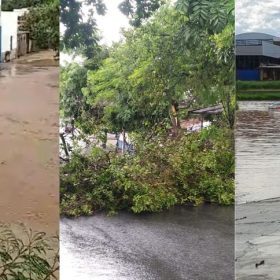 VÍDEOS: Temporal causa queda de árvores e alagamentos em Divinópolis