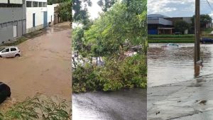V&Iacute;DEOS: Temporal causa queda de &aacute;rvores e alagamentos em Divin&oacute;polis