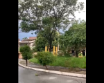 Comunidade do Bairro Bom Pastor se Mobiliza para limpar praça após tempestade
