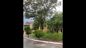Comunidade do Bairro Bom Pastor se Mobiliza para limpar praça após tempestade