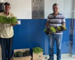 Apac Divinópolis abre inscrições para o curso de formação de voluntários