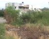 Moradores de Divinópolis reclamam de mato alto e entulhos em lotes vagos. Os mesmos alegam que já procuraram a prefeitura por diversas vezes, mas que nada foi feito até o momento.