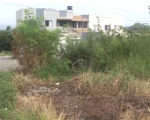 Moradores de Divinópolis reclamam de mato alto e entulhos em lotes vagos. Os mesmos alegam que já procuraram a prefeitura por diversas vezes, mas que nada foi feito até o momento.