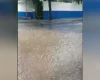 O Portal MPA recebeu registros das consequências da forte chuva nesta quinta-feira (29), em Divinópolis. A região do bairro Ipiranga ficou alagada.