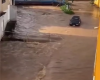 Catuji em alerta: chuvas causam estragos em vários pontos da cidade; confira o VÍDEO