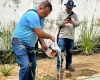 Prefeitura de Divinópolis afirma que não há focos de dengue no DTC