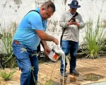Prefeitura de Divinópolis afirma que não há focos de dengue no DTC