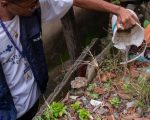 Governo de Minas Gerais promove Dia D de combate às arboviroses