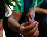 Saiba quais cidades de Minas receberão doses de vacina contra a dengue