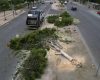 VÍDEO: Duda Salabert chama prefeito de BH de “assassino de árvores”