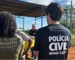 Divinópolis: Operação da PC investiga carvão ilegal em siderúrgicas