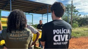 Divin&oacute;polis: Opera&ccedil;&atilde;o da PC investiga carv&atilde;o ilegal em sider&uacute;rgicas