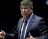 Projeto de Carlos Viana proíbe pagamento de fiança para crimes relacionados à pedofilia